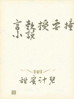 言教授要撞坏了小说