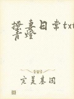 撩妻日常txt青灯