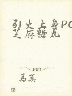 引火上身POP芝麻糖丸