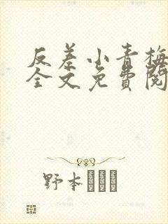 反差小青梅小说全文免费阅读