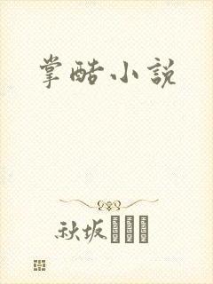 掌酷小说