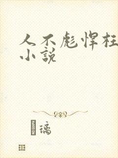 人不彪悍枉少年小说