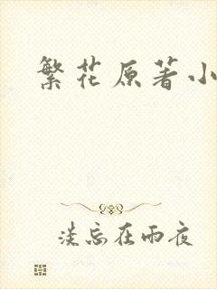 繁花原著小说