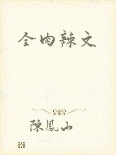 全肉辣文