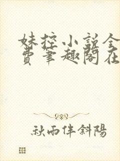 妹控小说全文免费笔趣阁在线阅读