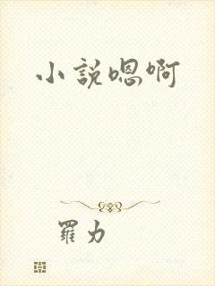 小说嗯啊