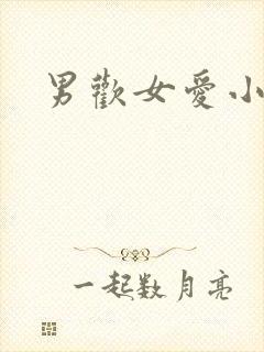 男欢女爱小说