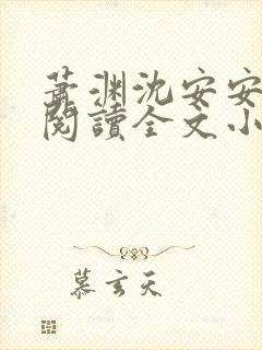 萧渊沈安安免费阅读全文小说