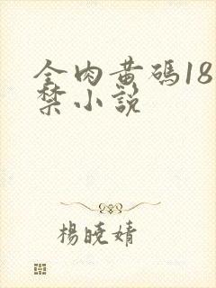 全肉黄码18无禁小说