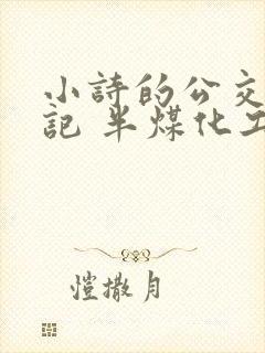小诗的公交车日记 半煤化工