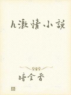 h激情小说
