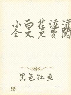 小白花浇灌日常全文免费阅读