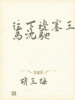 往下边塞玉器骑马沈驰