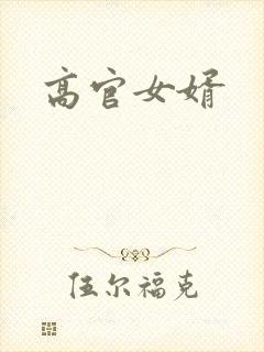 高官女婿