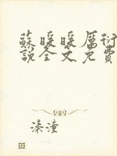 苏暖暖厉衍琛小说全文免费阅读