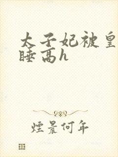 太子妃被皇上强睡高h