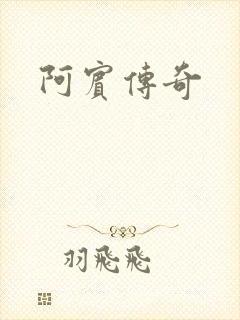阿宾传奇