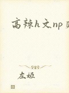 高辣h文np爽