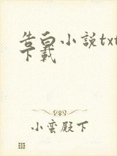 告白小说txt下载