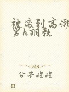 被脔到高潮的直男h调教