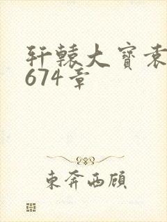 轩辕大宝袁雪妃674章