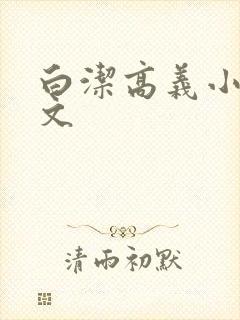 白洁高义小说全文