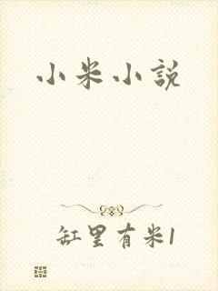 小米小说