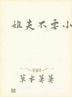 姐夫不要小说