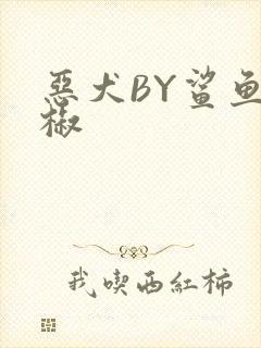 恶犬BY鲨鱼辣椒