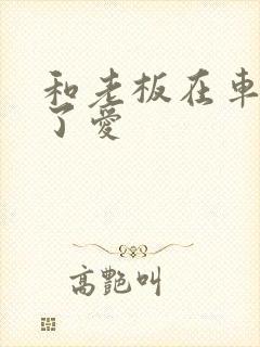 和老板在车里做了爱