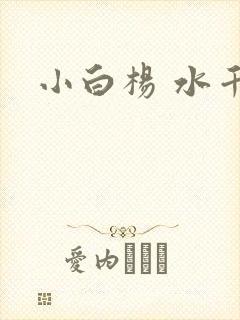 小白杨 水千丞