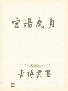 官场岁月