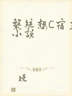 系统想C宿主的小说