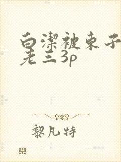 白洁被东子老二老三3p