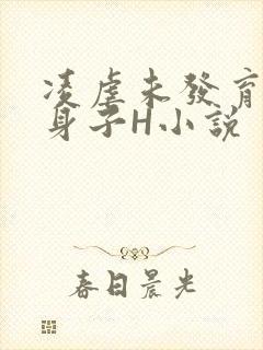 凌虐未发育的小身子H小说