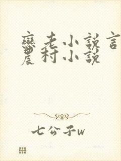 恋老小说言情网农村小说