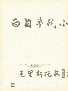 白日梦我小说