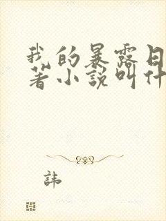 我的暴露日记原著小说叫什么