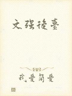 文强后台
