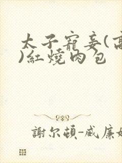 太子宠妾(高肉)红烧肉包