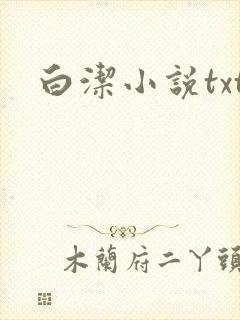 白洁小说txt