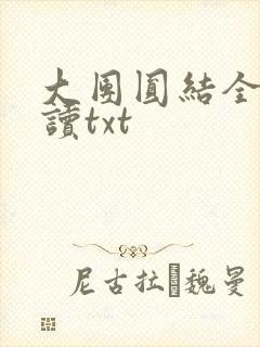 大团圆结全文阅读txt