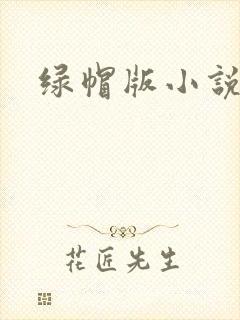 绿帽版小说