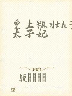 皇上粗壮h灌满太子妃