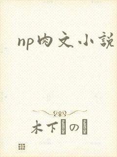 np肉文小说