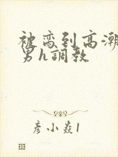 被脔到高潮的直男h调教