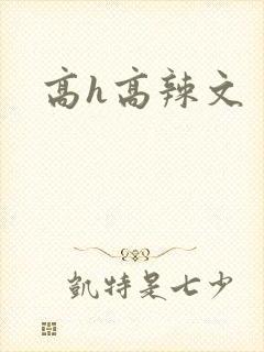 高h高辣文