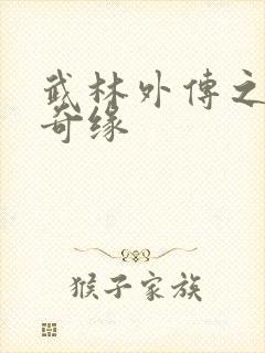 武林外传之同福奇缘