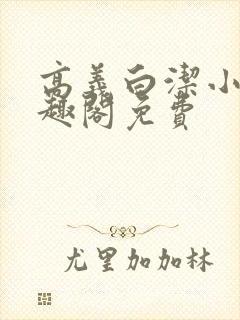 高义白洁小说笔趣阁免费