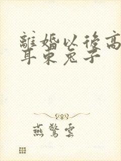 离婚以后高干 耳东兔子